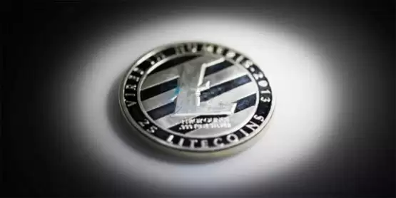 SEC�ٴ�����Canary Capital���ر�LTC�ֻ�ETF��飬�г��ֹ���������