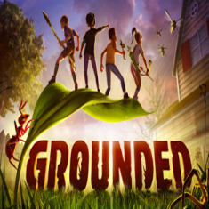 groundedֻϷ 1.0