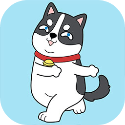 �������̽ 