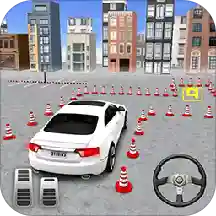 ģ����Ƽ�ʻԱ 1.0.1