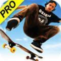 skate3 1.0