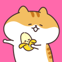 ���������̵�