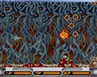 X����ս�� 