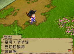 ����DS����HACK�޸İ� 