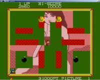 ��������������ɫ�� 