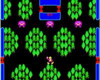 �����к� 