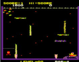 ����֮ԼMarine 