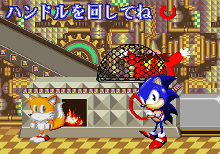 ����С�ӱ��׻��� 