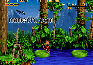 ����è��ð�� 