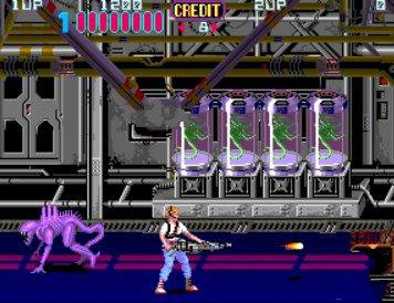 ���ͻ궷�� 