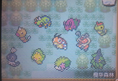 �ڴ�������ѩ���ܱ�ʯ����721�� 