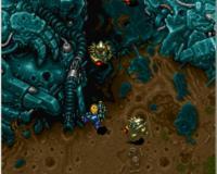 ����ս��