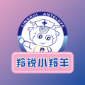 С̳ v1.2.3