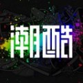 v2.6