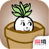 һ���ܲ�һ���� 1.00.14