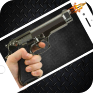 ǹ֧ģ���� 242