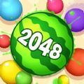 2048 1.00