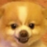 ɵ������ս 21.04.11