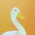 ȾȰ