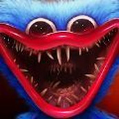 poppy����߹��� v1.1.0