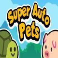 SuperAutoPets 28