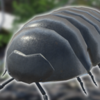 ½ 1.6.0
