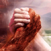 ɥʬ������