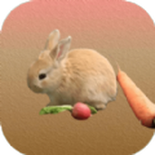 ƴܲװ v1.0