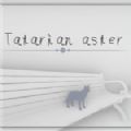 Tatarian aster