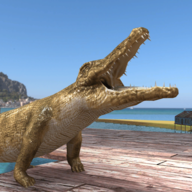 ���µĶ������㹥�� 1