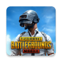 pubg 2.5.0