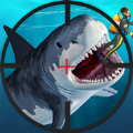 ʵϺ 1.0.0