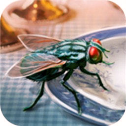ģӬ 2.1.5