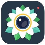 ��ͼ������