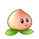 ֲ���ս��ʬ���� 48.4