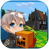  2.0.6