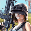 սģ V1.3