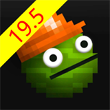 ������ֳ�19.5.1 V20.24.1