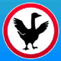 ģ V1.1