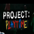 project playtimeİ 1