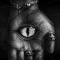 ̽