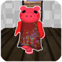 �ֲ�С���ھ� 1.01