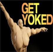ģ ޹