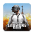 pubgκ