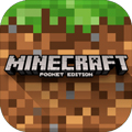 minecraft°