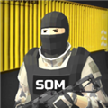 SOM޽Ұ