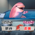 ̸ֲ