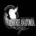 VALKYRIE(��ŷŮ����Դ) 1.01