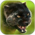 PantherOnline(ԱģOL)
