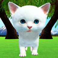 Kitty Go(è߰׿)